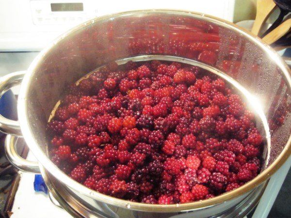 Blackberries after being steamed for a while