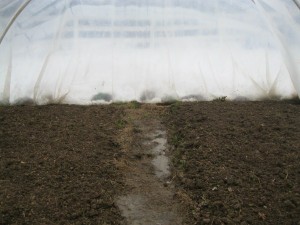 beds safe inside hoop house