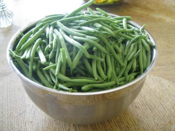 green beans 7-6-13