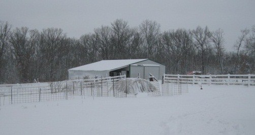 hoop house after the storm