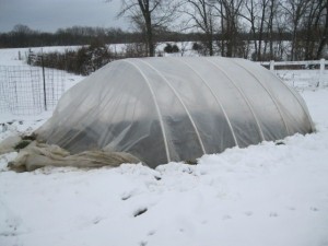 hoop house cleaned up after the storm