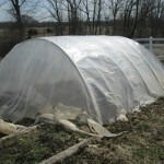 PVC hoop house- clods for ends