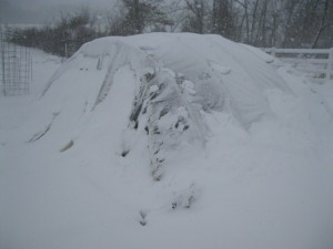 hoop house in snow storm