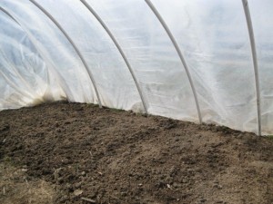 PVC hoop house inside