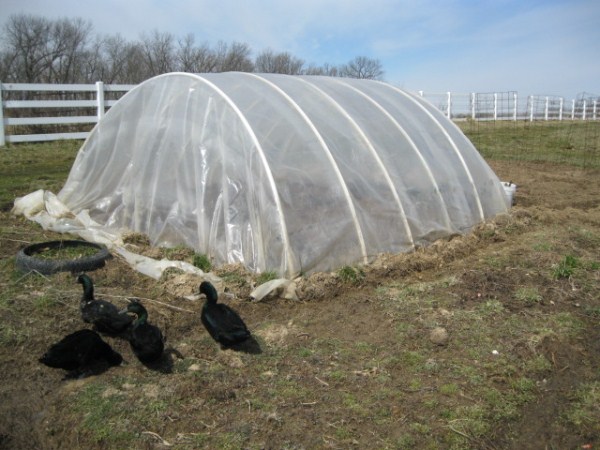 PVC hoop house