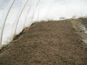 lettuce bed safe in hoop house